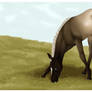 Haunting Ghost - Foal