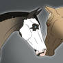 VS Abbervail Dream x WPS Jackson