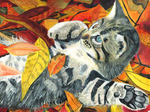 Tabby with autumn leaves *Watercolour