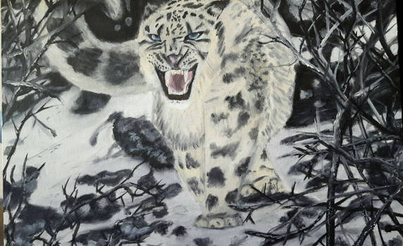 Snow Leopard Oil Painting #1