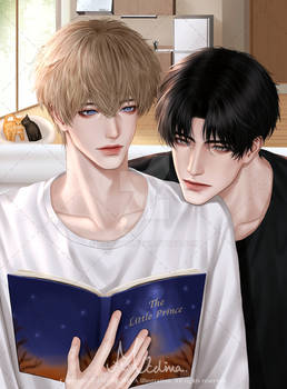 Novel Cover