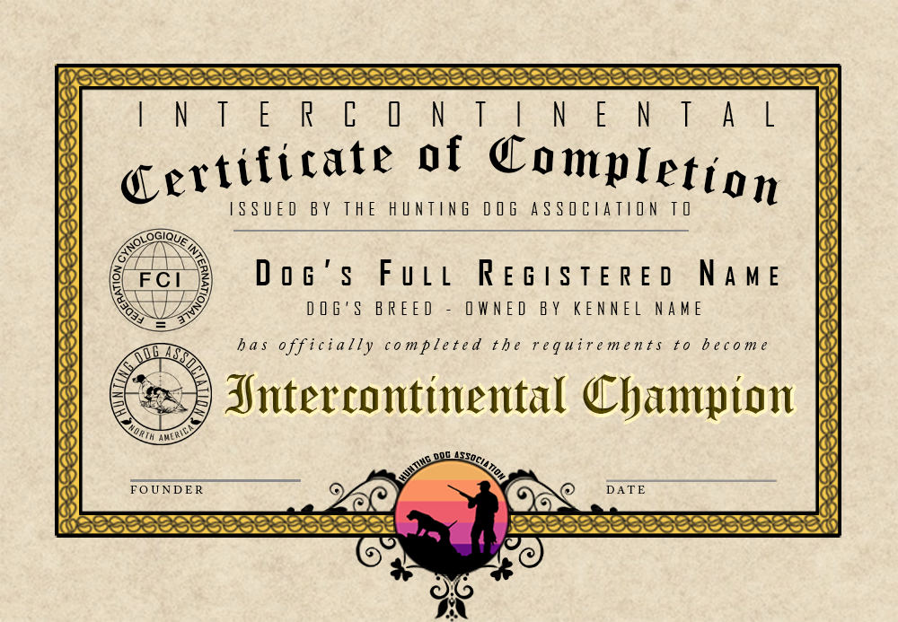 Intercontinental Ch GCh Certificate Demo By RensDoggos On DeviantArt intercontinental-ch-gch-certificate-demo-by-rensdoggos-on-deviantart