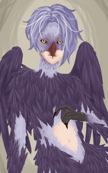 Harpy