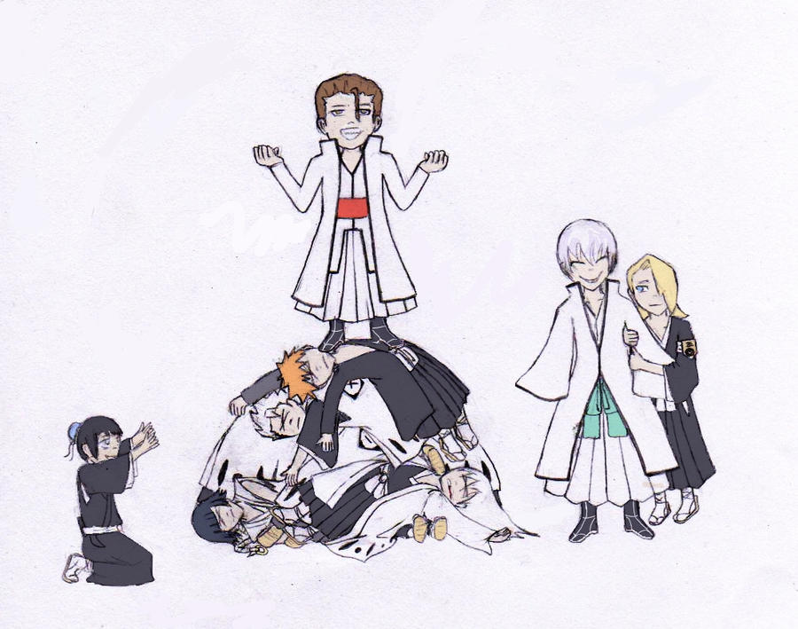 Bleach: the never ending