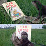 Otter book fans