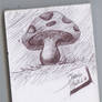 Hongo - Mushroom