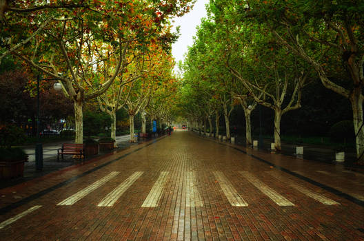 Rainy evening in Hangzhou