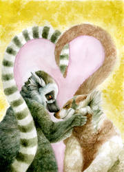 Lemur Loves