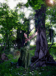 Tree of Forest Queen