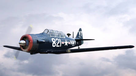 T6 Texan 821 Navy