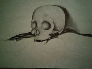 WIP-pen skull