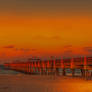 Juno Beach Pier