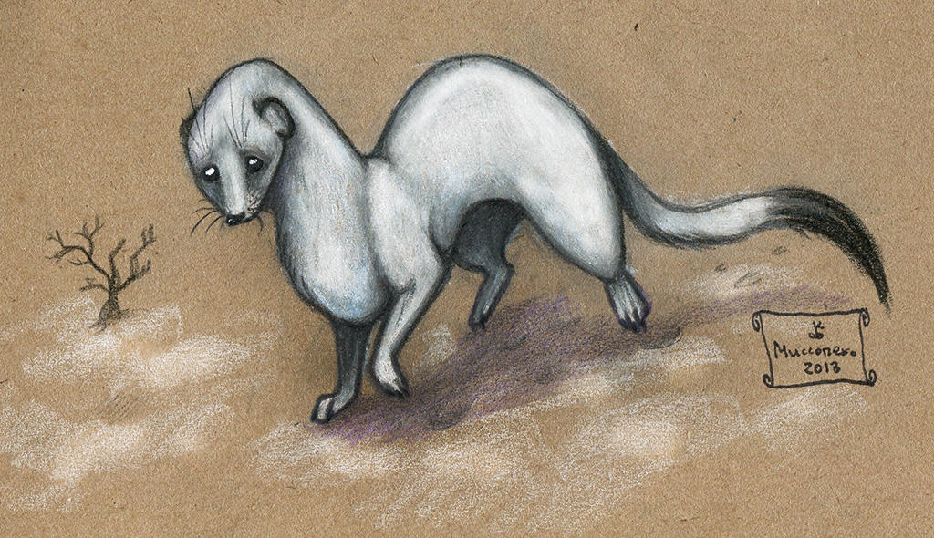 Stoat Voodoo Stoat by Missopeho on DeviantArt