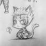 Asura kitty