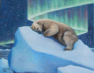 Napping Under the Northern Lights