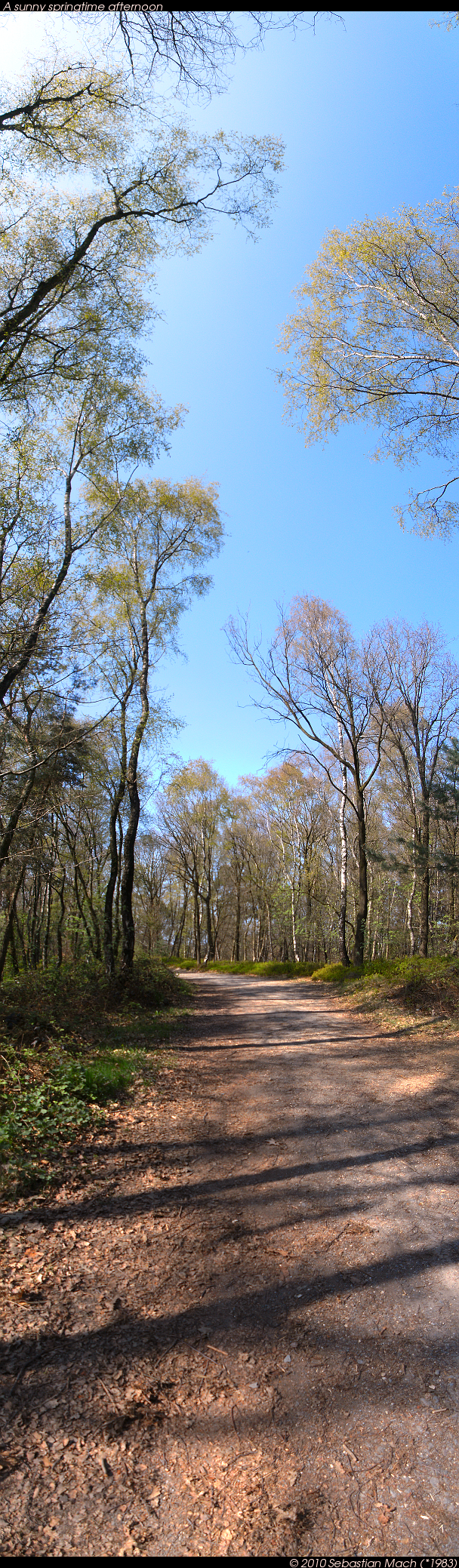 A sunny springtime afternoon