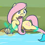 EQD Training Ground Day 16