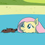 Fun Swim