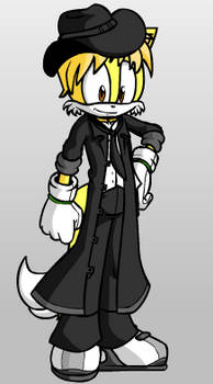 Sonic Doll Character: Myself