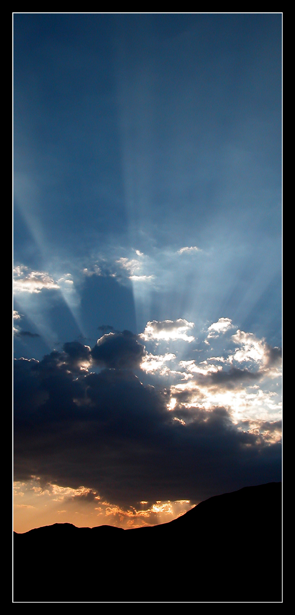 cathedral of the sky