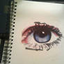 My Eye -- In Color