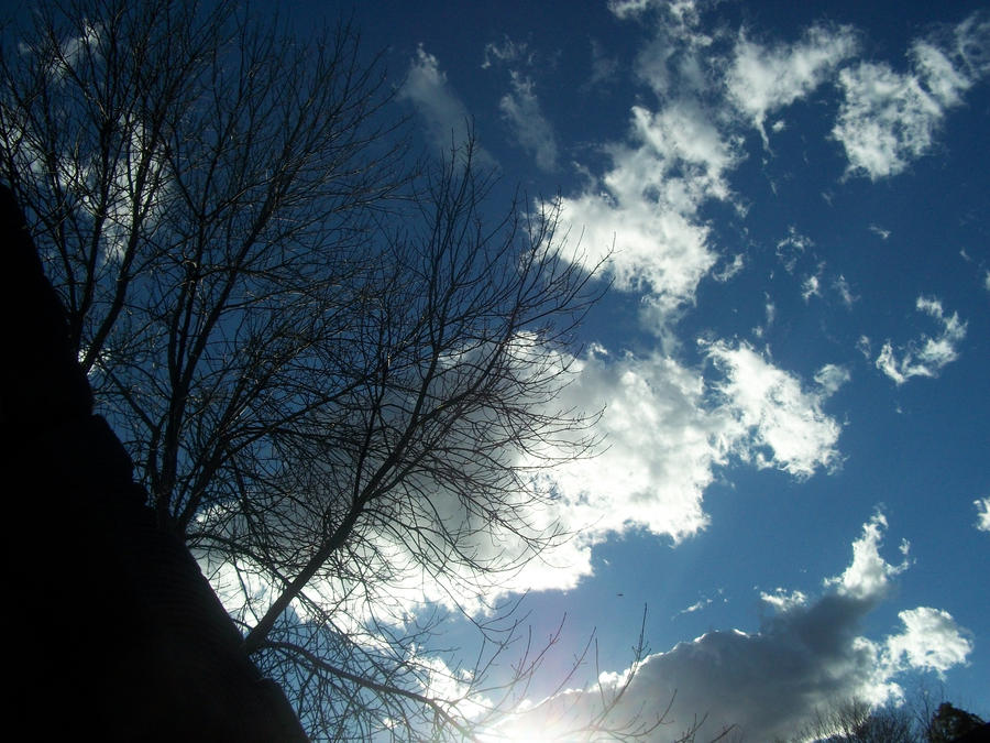 Fall Sky by spiffypumpkins15 on DeviantArt
