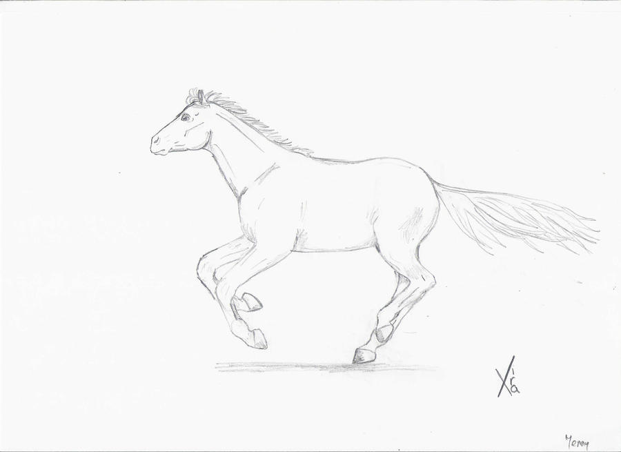 Realiste Dessin De Cheval Au Galop