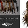 Wildstyle hair Painted Instant Hair PSD stock