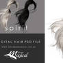 Spirit Painted Instant Hair STOCK PSD add on hair