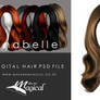 Anabelle Painted Instant Hair PSD hair stock