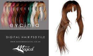 Evcinia Painted Instant Hair PSD add on hair stock