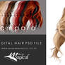 Instant Painted Hair PSD - Amparao add on hair