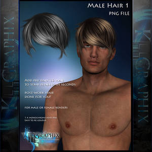 Male Hair 1 Painted hair Instant  PSD add on stock