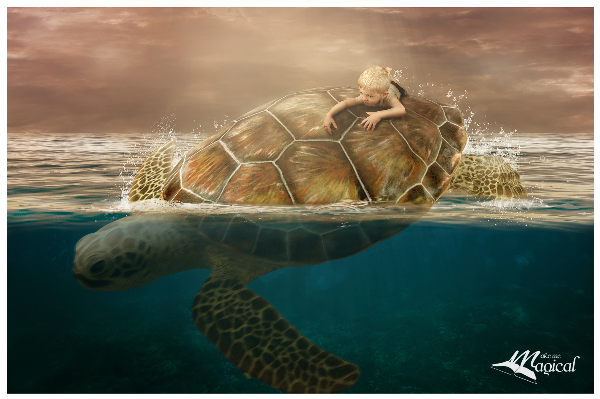 Turtle Backdrop | Turtle Background | Sea Turtle