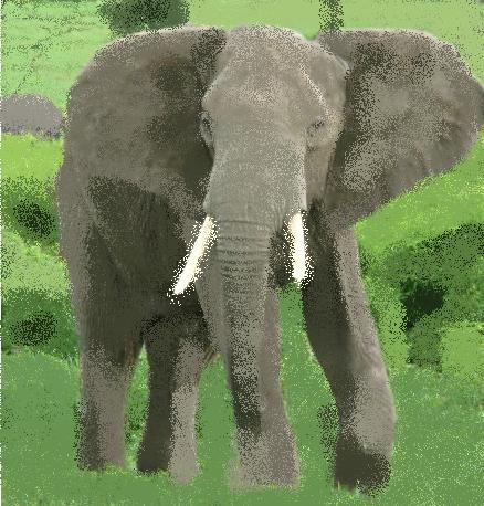 MS Paint Elephant