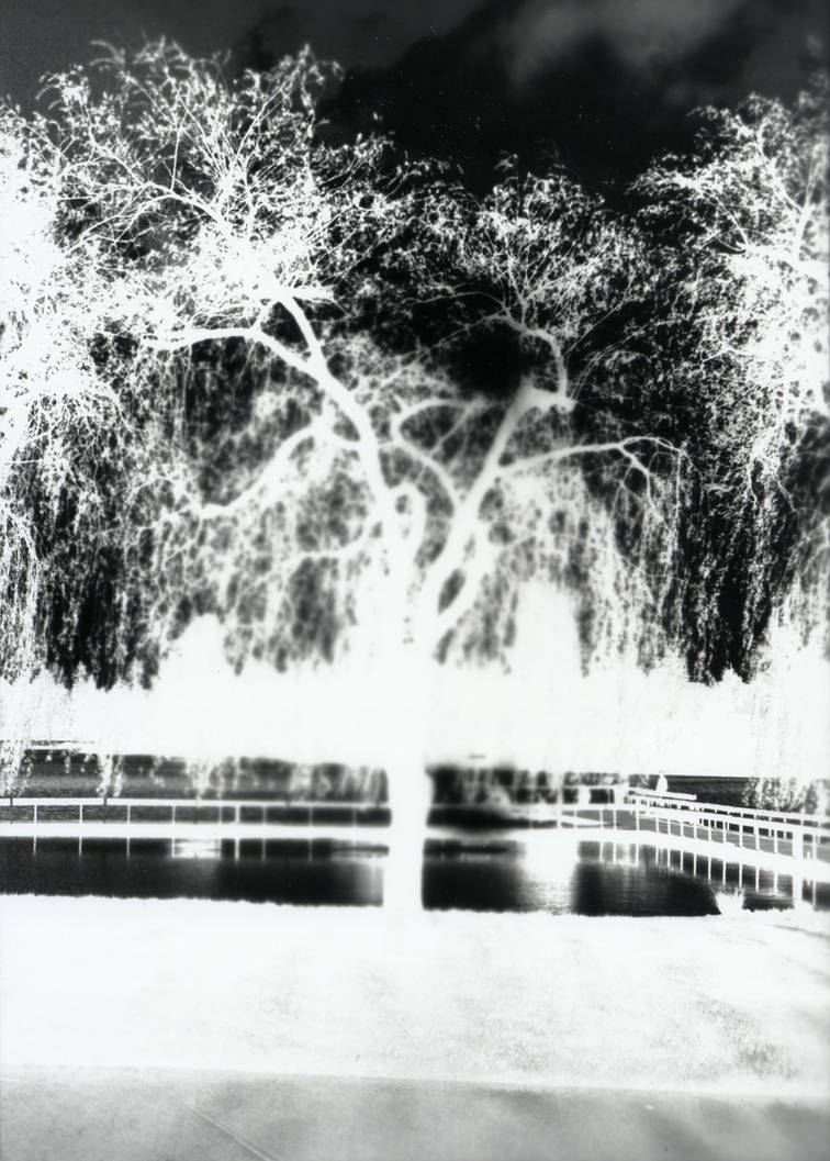 Negative Tree by tinkermel on DeviantArt