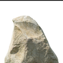 Big Stone 1