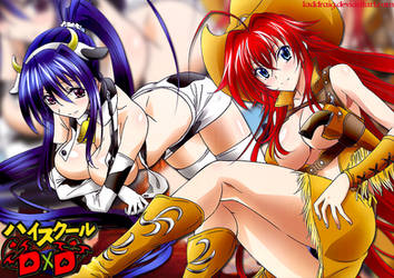 Highschool DxD Cowgirls - Wild Wild West by LaDdraig