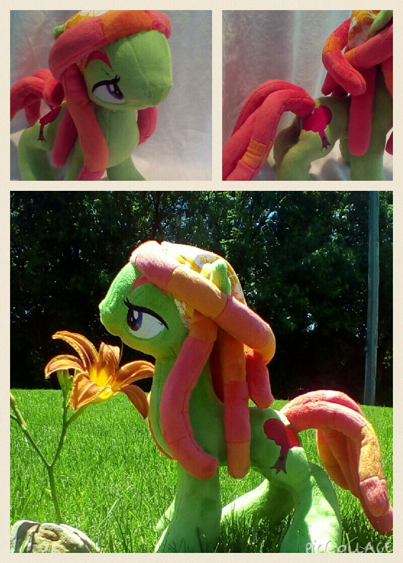 For Sale Tree Hugger MLP:FIM