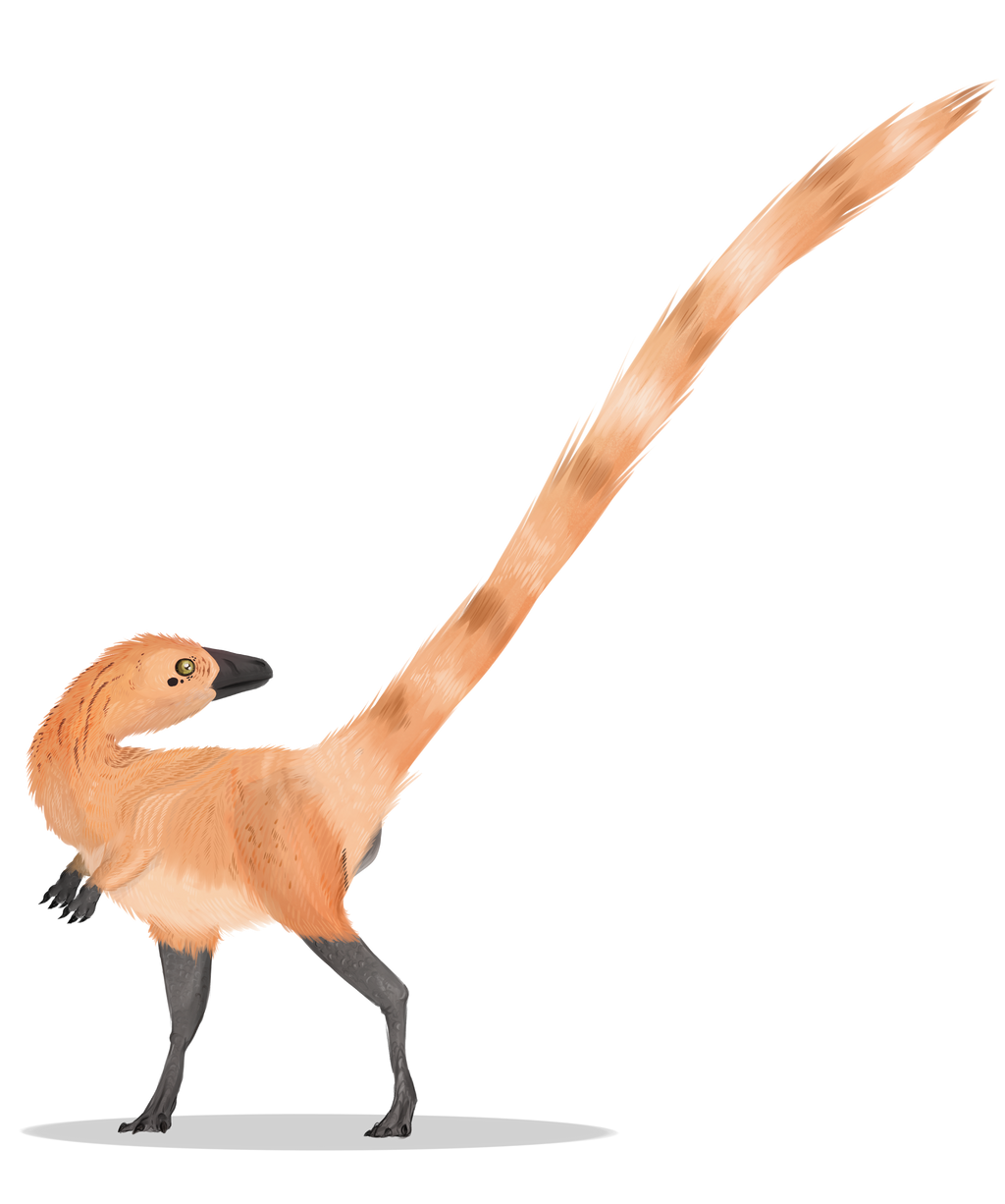 Sinosauropteryx