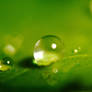 Waterdrops on a leaf