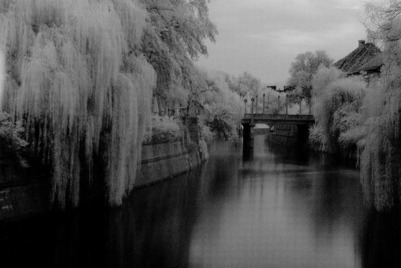 River Ljubljanica II