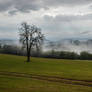 Evening Slovenian landscape view