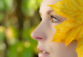 Autumn gaze