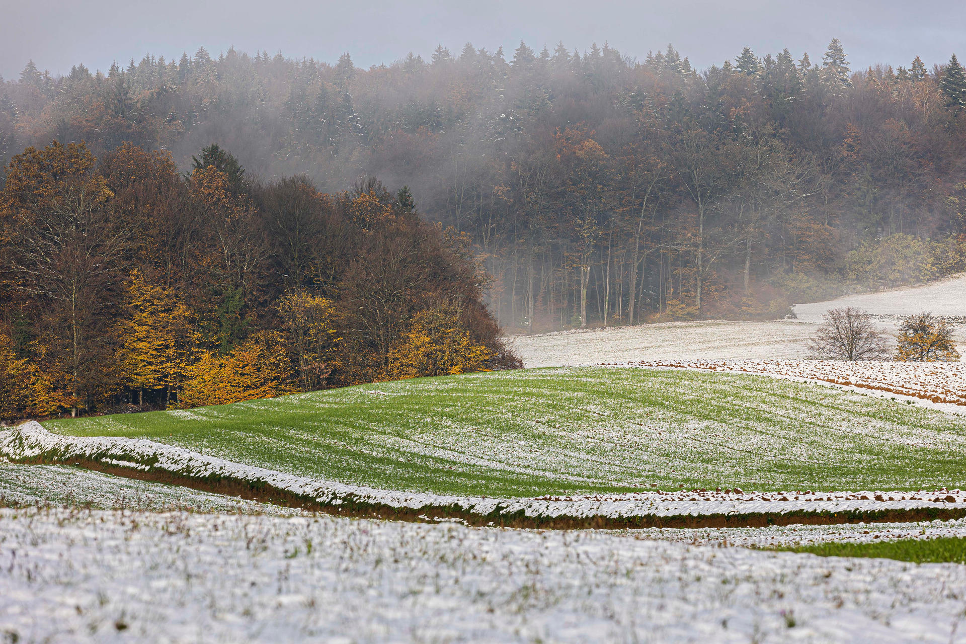 Snow In November First snow in November by luka567 on DeviantArt