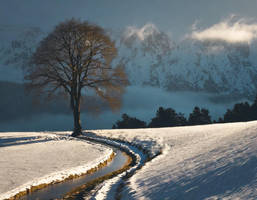 Snowy winter landscape with a path - (AI ART)