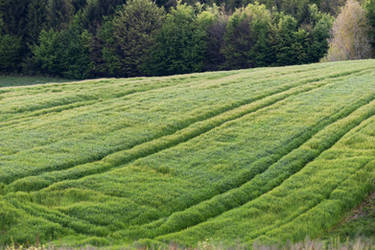 Green Slovenia