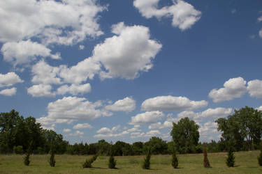 Free Stock Trees and Clouds 3