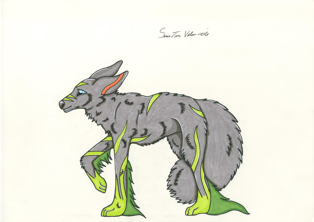 OC - Wolf by Yuruu on DeviantArt