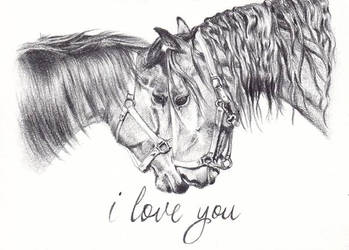 I Love You Horse Portrait